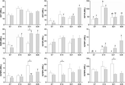 Insulin-like growth factor system components expressed at the conceptus-maternal interface during the establishment of equine pregnancy